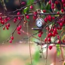 골목길그집 이미지