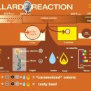 마이야르 이미지