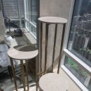 고양이 놀이터 이미지