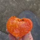 강서가곡부르기회 | 진주 촌집 촌캉스 낭만과 맛이 넘실대는 가을밤 추억 만들기