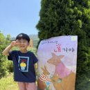 드포레스트_
