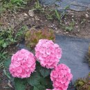 서후리 산촌생태마을 이미지