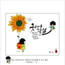 감성톡톡 캘리그라피 이미지