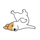 댕댕점빵 이미지