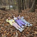 용인대석사영웅태권도 이미지