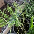 윤이농장 이미지