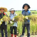 고성군 7 이미지