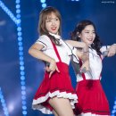 초롱