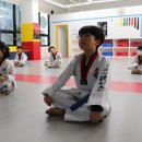 경희대 에이스태권도 이미지