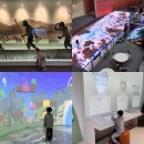 강원체육회관 | 국립춘천박물관 입장료, 미디어아트, 어린이박물관 꼭 가볼만한곳