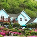 금당계곡 펜션 이미지