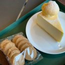 앙갤러리 카페 이미지