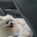 24시 창원2차동물의료원 이미지