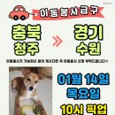 경기 켄넬 Daum카페