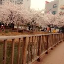 발롱네일 | 단발머리발롱펌후기/공원산책