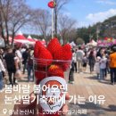 은진산업 | 2026 논산딸기축제 솔직후기 2년차 방문자가 알려주는 꿀팁 + 작년과 달라진 점