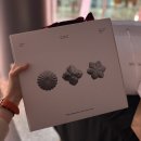 (주)키친모아 | 신혼 그릇 내돈내산 쇼핑 (+ 25년 코엑스 홈테이블데코페어 방문 후기, 헬레닉 와인/모모스키친도 강추!)