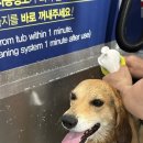 올리스24셀프목욕 이미지