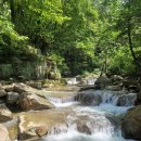 제648차 충북 제천시 100대명산 금수산 산행 &amp; 능강계곡(26. 8.11) 안내 이미지