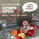 아이엘디 이미지