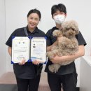 세종클래스애견미용학원