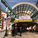 강성장태권도 이미지