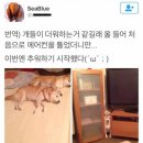 더워시 이미지