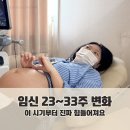 임신 23주~33주 증상 총정리 | 중기→후기 변화, 태동·소화불량·가진통까지