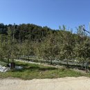 신교농장 이미지