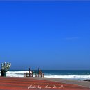 바람불어 좋은날 이미지