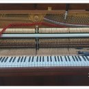 중앙동110 이미지