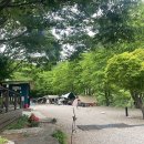 예그리나 이미지