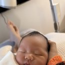 더 아이리스 산후조리원 이미지