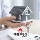 애플부동산공인중개사사무소 이미지