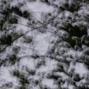 공존 예술창작 스튜디오 이미지