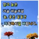 🌞모든 일에는 다 때가 있다 이미지