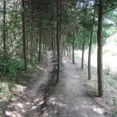 축령산 산소길(2구간) Daum카페