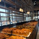 661 | [부산 다대포] 주차 편하고 뷰까지 완벽한 베이커리 카페 '이지요661(E.G.Yo)' 후기