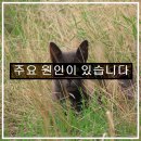 석경농장 이미지