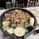 본가오리 이미지