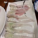 대하활어&참치