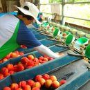 아담농장 이미지