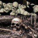 마산 여양리 뼈무덤 - 여양리 학살사건(보도연맹 학살사건)| 이미지