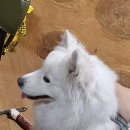 명산한우식육식당 이미지