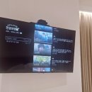 호텔야자구미인동점 이미지