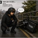 욜로고