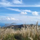 억새2축구장 이미지