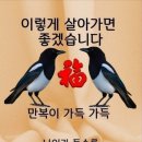 ❤️ 살아있음에 감사하자!!! (나폴레옹 이야기) 이미지