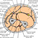 하트핏 휘트니스 이미지