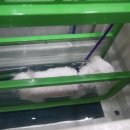 죽전동물메디컬센터 이미지